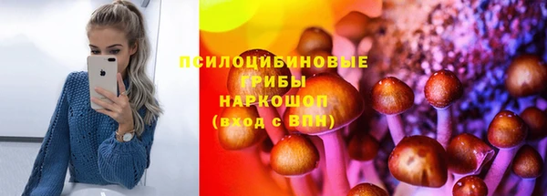 дурь Алексин