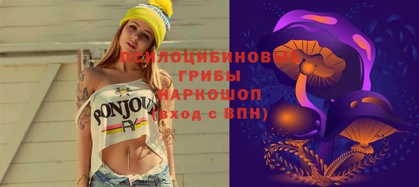 Альфа ПВП Алзамай