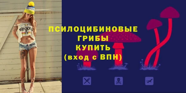 Альфа ПВП Алзамай