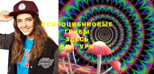 дурь Алексин