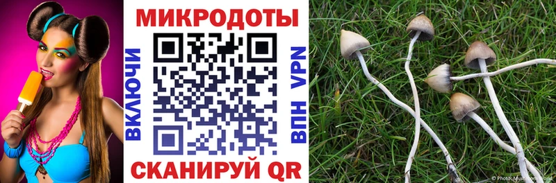 Псилоцибиновые грибы Magic Shrooms  купить наркотики сайты  Чусовой 